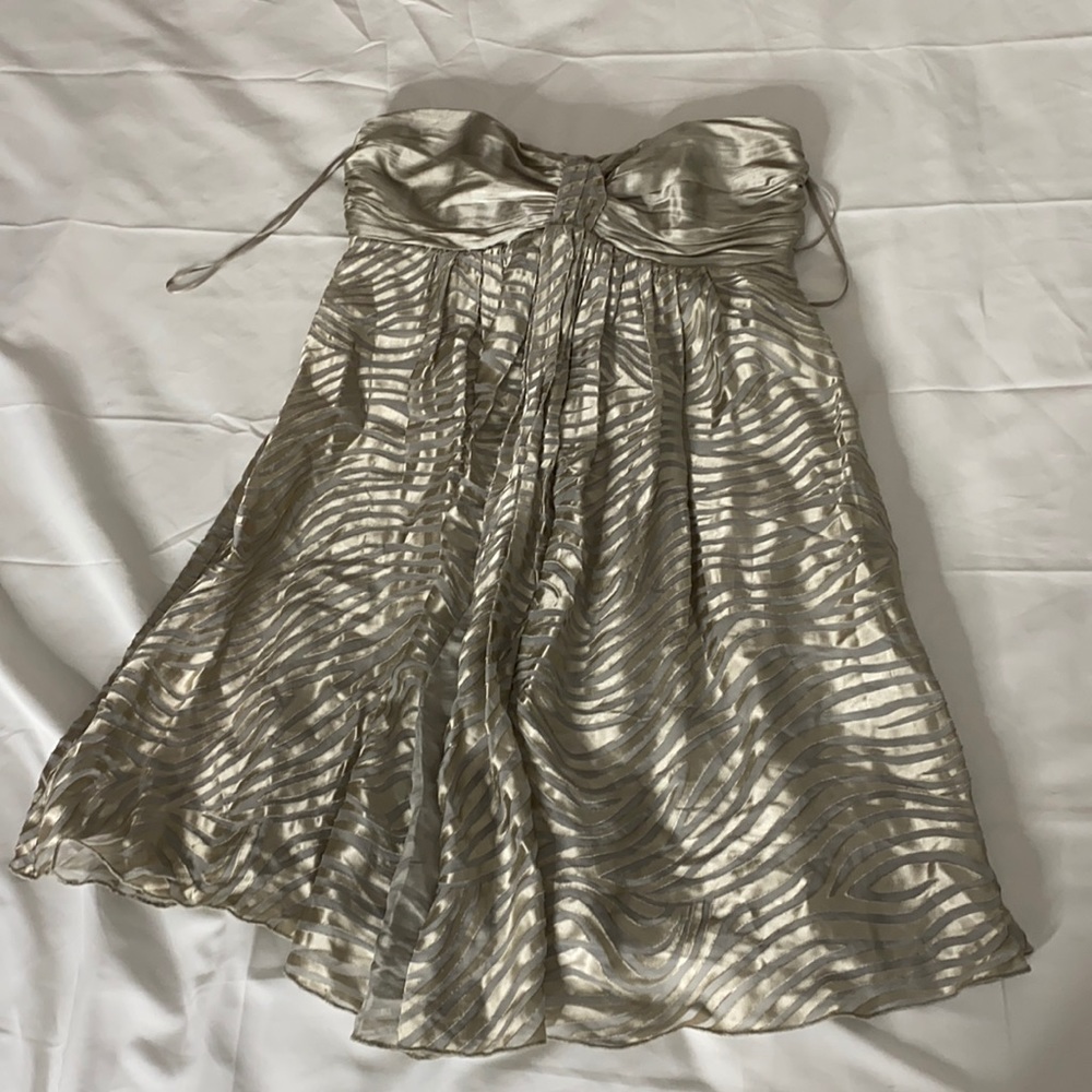 Express Babydoll Y2K Dress NWT